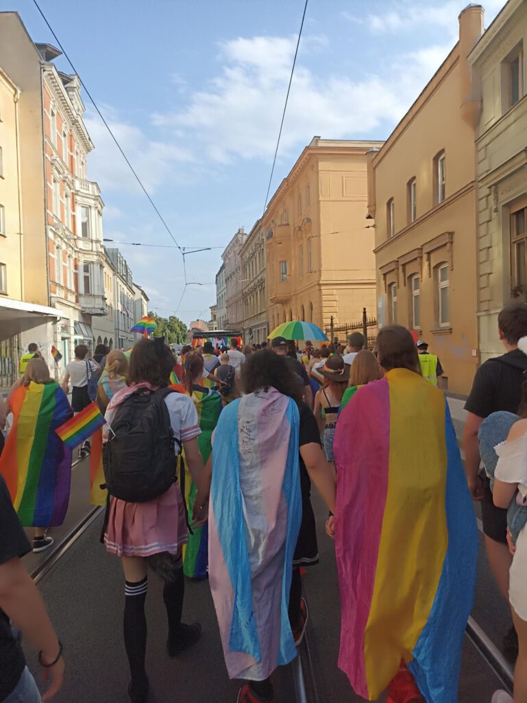 Ein Demomarsch durch eine Straße. Zur seite sind 3-4 Stöckige Reihenhäuser. Die Demo blockiert eine Straßenbahnlinie.